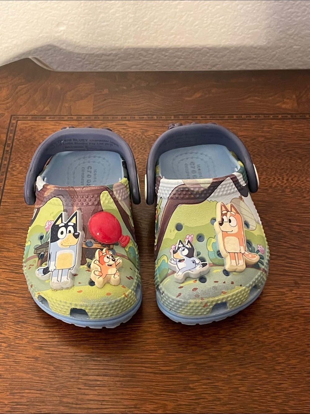Bluey Baby Crocs 4